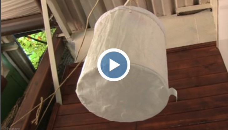 Броят комарите в Русе със специален капан