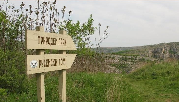 Природен парк "Русенски Лом" с нов директор