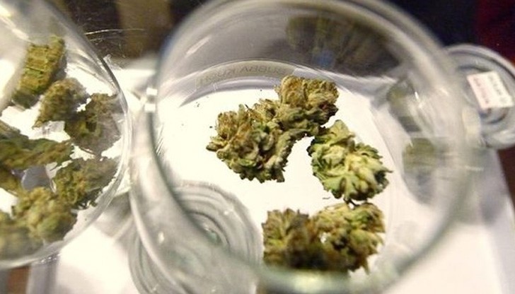 Дават марихуана на деца с епилепсия