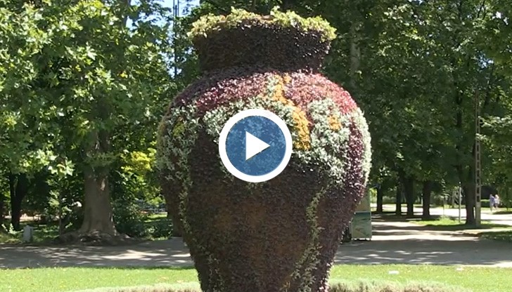 Вазата в Русе - плешива, Розариумът - джунгла