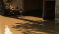 Дъждът остави разградското село Камено под вода