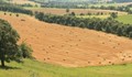 Северна България рекордьор по арендни договори за земя