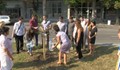 Стажанти засадиха бреза за Деня на младежта