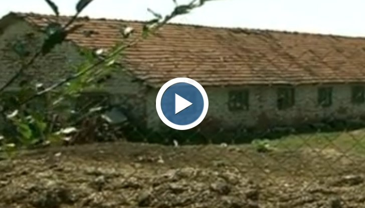 Адска миризма от свинеферма изкарва жителите на Борово на протест