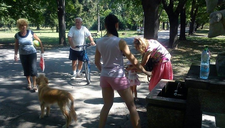 Редно ли е кучета да лочат вода от чучурите на градските чешми?