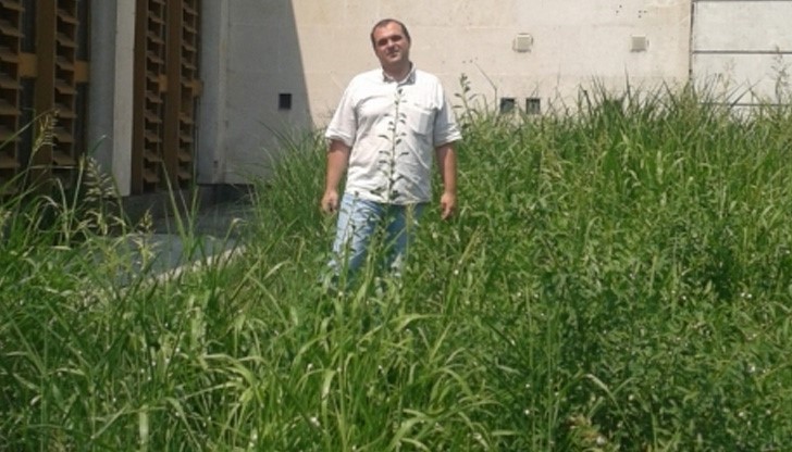 Общинари: Тревните площи в Русе са в безобразно състояние