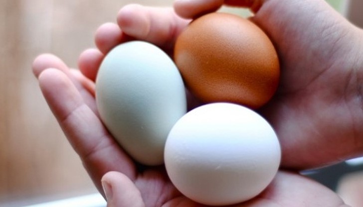 Кои храни никога не трябва да съхранявате във фризер Кои храни никога не трябва да съхранявате във фризер