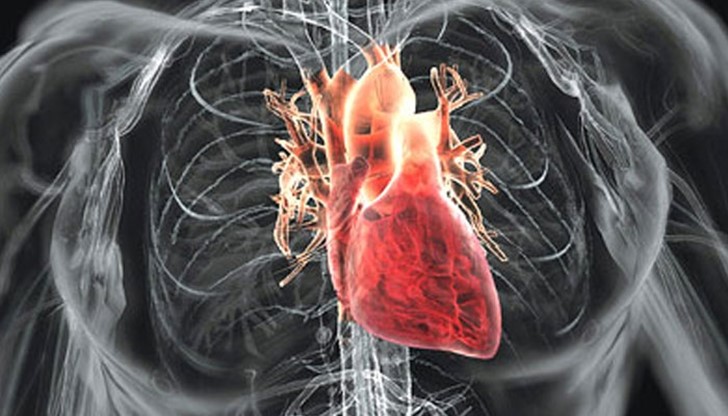 Как да предпазим сърцето си