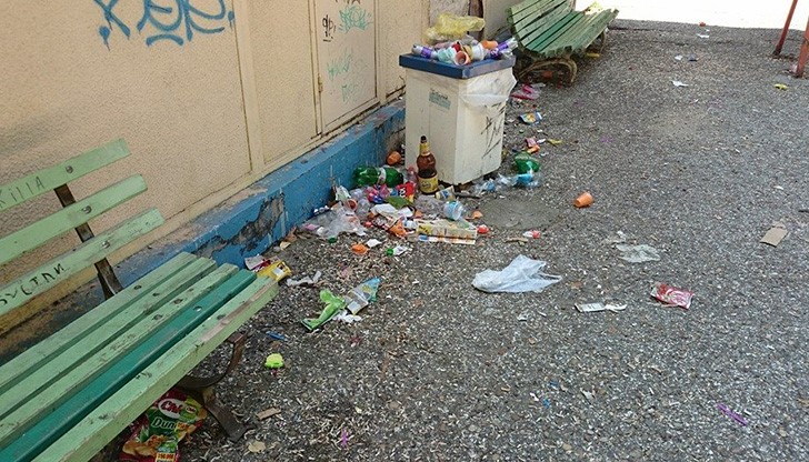 Тотална свинщина