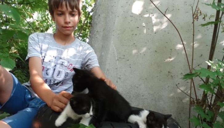 Брутална жестокост: Деца горят живи котета за забавление