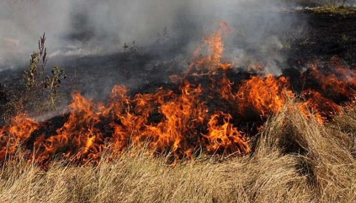 Пожарникари гасиха 25 000 кв. м. площи запалени треви