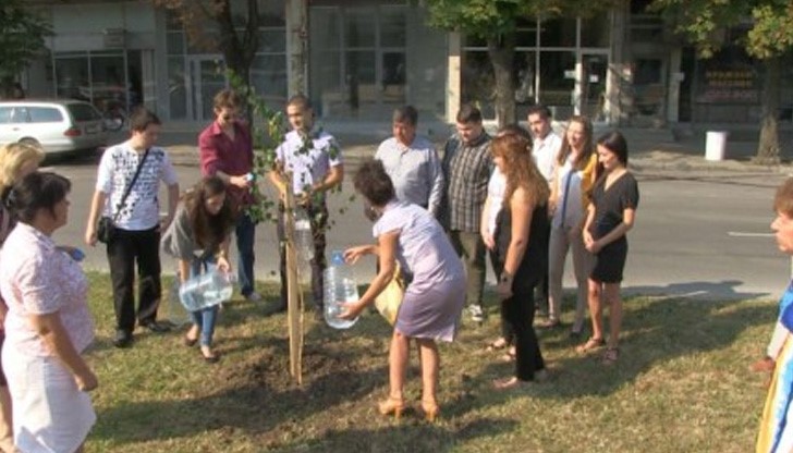 Стажанти засадиха бреза за Деня на младежта Стажанти засадиха бреза за Деня на младежта