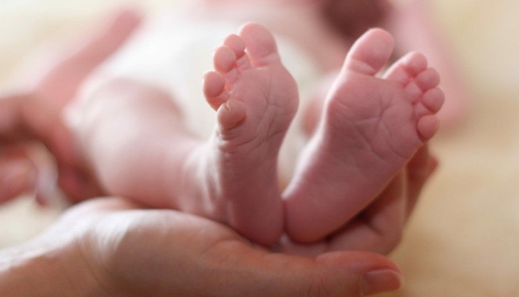 Жена роди в гората и захвърли бебето си там, то почина Жена роди в гората и захвърли бебето си там, то почина