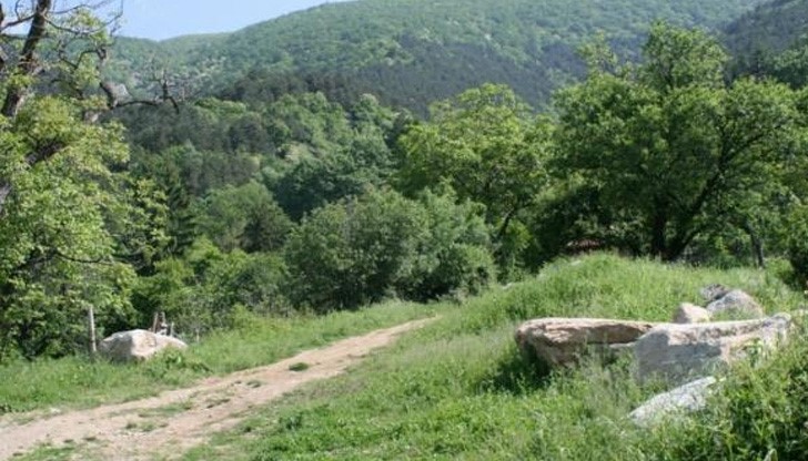 Жената, която захвърли бебето си в гората: Какво лошо съм направила? Жената, която захвърли бебето си в гората: Какво лошо съм направила?