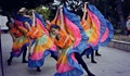 Балерините от „Импулс“ покориха публиката на "Детска Аполония" в Созопол