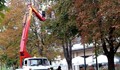 Отрязаха сухи клони на дървета по ул. "Борисова"
