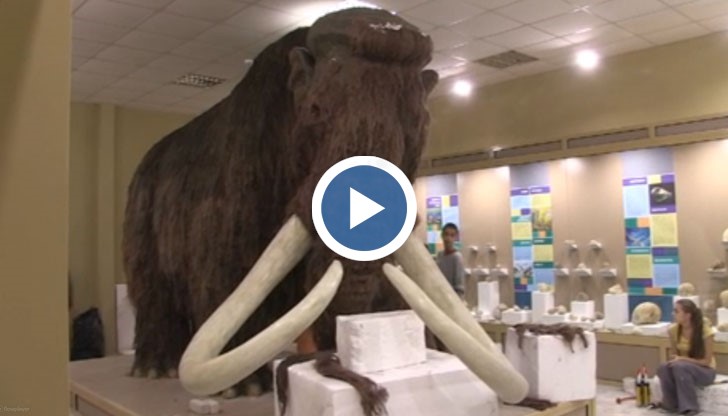 Екомузеят в Русе е единствен по рода си в България и бе очакван от русенци повече от 40 години