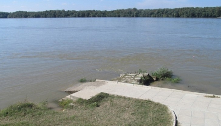 На ситуацията обаче се радват множество рибари, които хвърлиха въдиците си непосредствено на кея