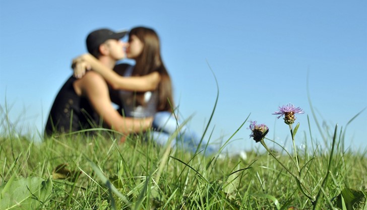 <p>Да се влюбиш, е много смело нещо. Трябва да имаш желание да се довериш на някой друг с цялата си душа, а това е много трудно, наистина трудно и много смело.</p>
