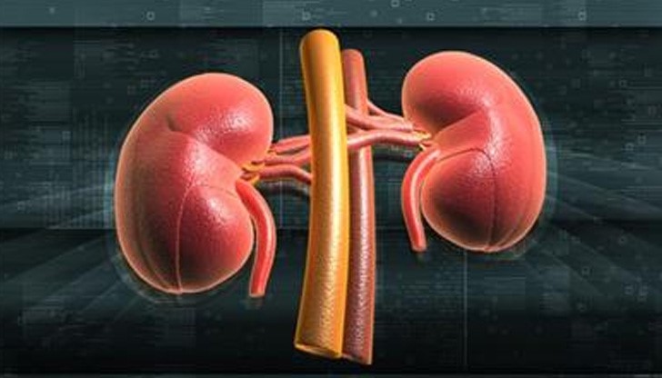 Целта е създаването на бавна, равномерна диализа през цялото денонощие, която да имитира работата на нормални бъбреци