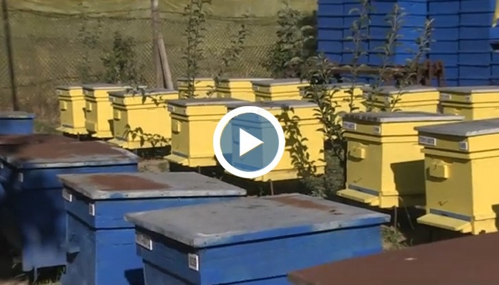 Добивът на мед в Русе е в пъти по-нисък заради дъждовете