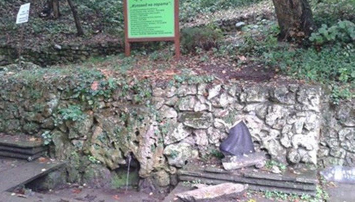 Кой си ти или Вие, които посегнахте?