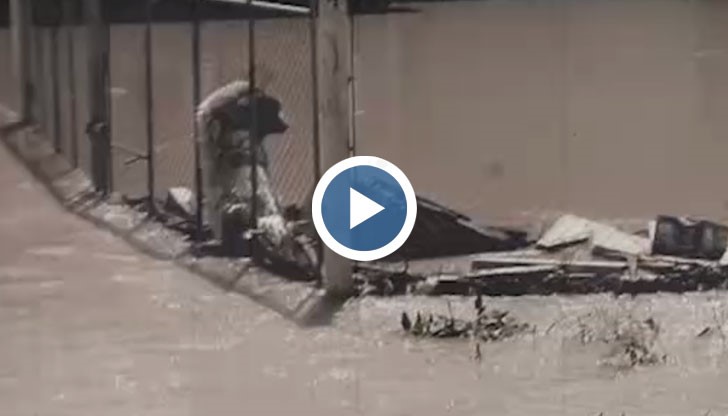 Това е историята на Баба Митка, дядо Кирчо и техния спасител магарето Боянчо