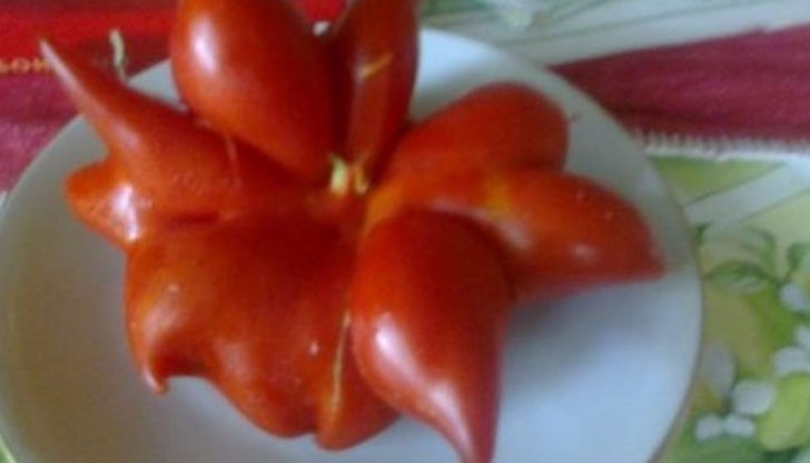 Домат със странна форма се роди в градината на баба Надка в село Буковец