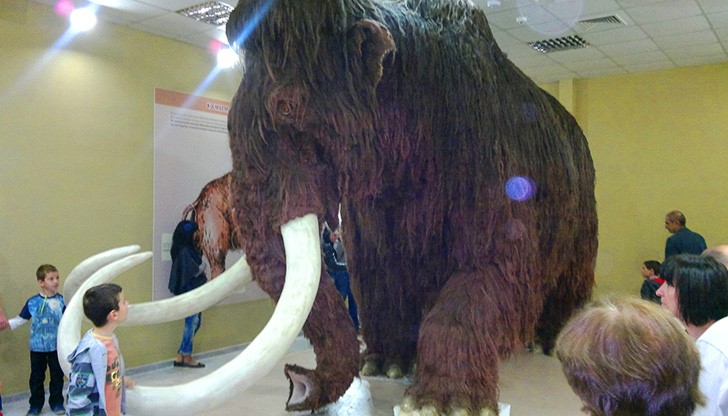 150 кг боядисани кълчища “облекли” праисторическото животно