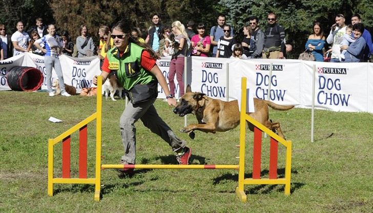 ЗА ТРЕТА ПОРЕДНА ГОДИНА СТОТИЦИ ЖИВЯХА АКТИВНО СЪС СВОЕТО КУЧЕ В ЮЖНИЯ ПАРК