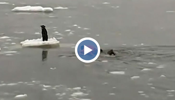 Да върнем вярата си в човечността само за 4 минути