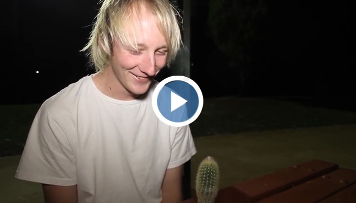 Малко хора биха експериментирали с подобно меню