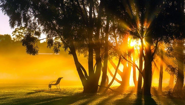 <p>Денят е начало.<br />
Ако ще се къпем - да е в Щастие!<br />
Ако ще потъваме - да е в Любов!</p>
