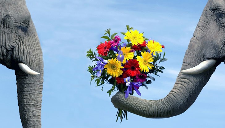 <p>Половината от нашите грешки в живота идват от чувства там, където сме длъжни да мислим и от мисли там, където трябва да чувстваме.</p>
