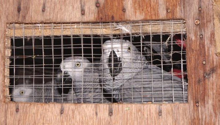 На пътника е съставен акт за митническо нарушение