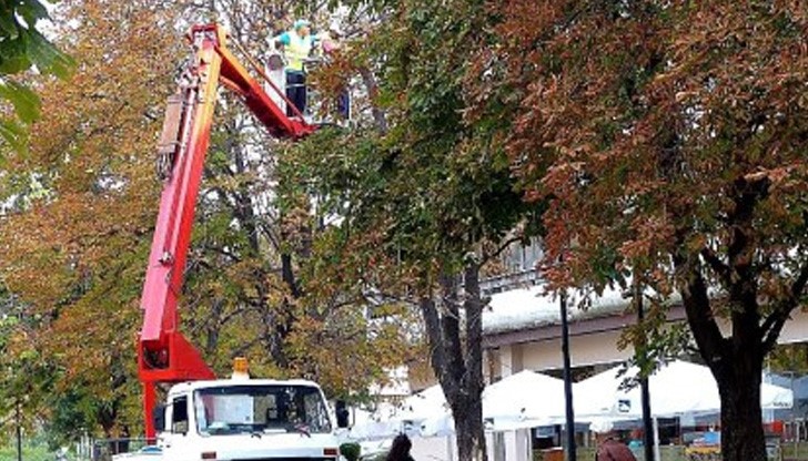 От общинската управа увериха, че действията са съгласувани с отдел „Екология“