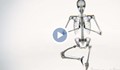 „Рентгенова“ анимация показва как изглежда човешкото тяло по време на йога