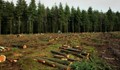 Нова наредба на земеделското министерство ще разглежда горите само като място за сечи