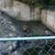 Измъчени животни обитават зоопарка в Ловеч