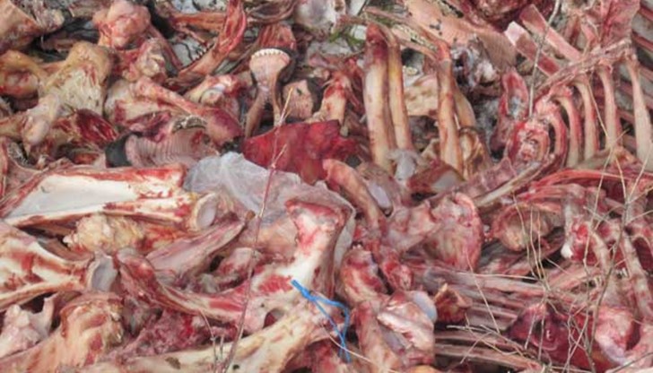 От МЗХ съобщиха, че са заложили пари в актуализацията на бюджета