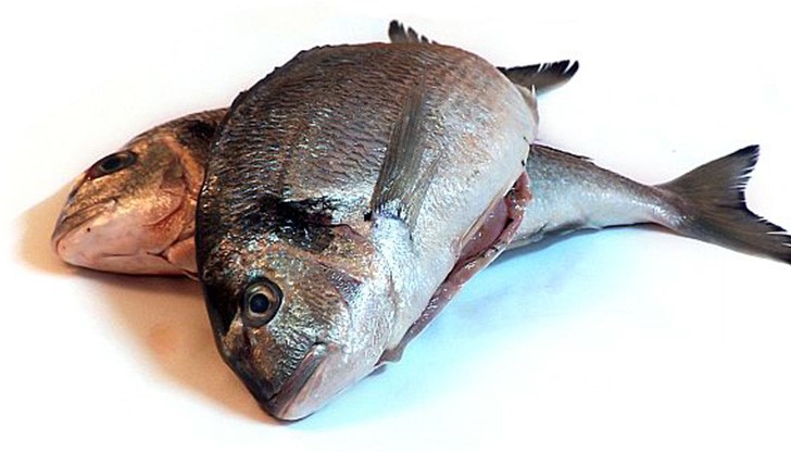 Иззетата риба е чига, мряна, платика и распер