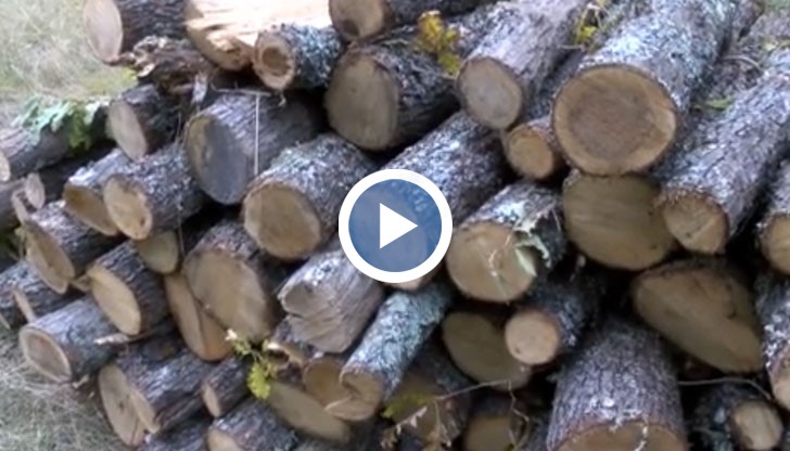 С настъпването на отоплителният сезон, започват и масови кражби на дърва.
