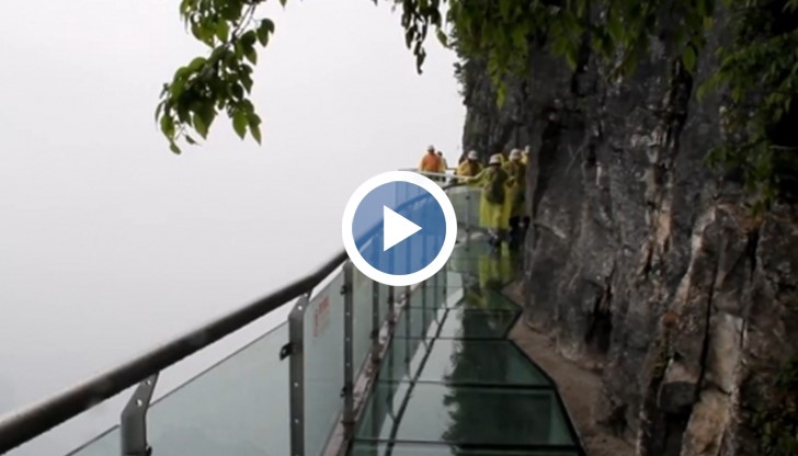 Уникалният мост от стъкло се превърна в една от най-страшните атракции в света