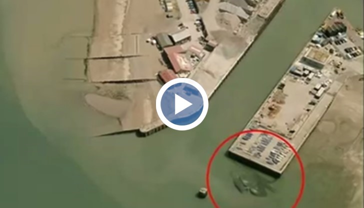 Огромен рак или нещо друго?