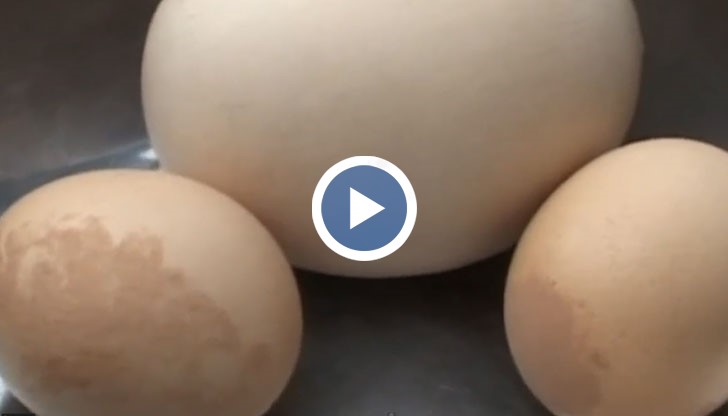 Чудовищно яйце с друго яйце вътре