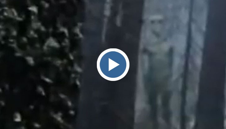 Уфологът Жайме Маусан показа 4-минутно видео от околностите на Велинград