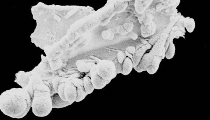 Тайнственият обект вече се смята за доказателство, че живот извън пределите на нашата планета съществува