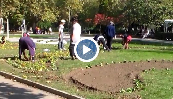 Вазата, която е символ на парка на младежта, ще остане в този си вид през зимата