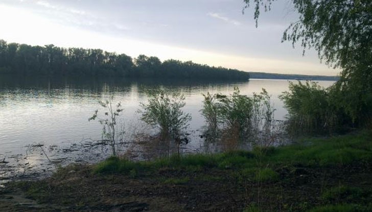 Природолюбителите в Русе ще отбележат Европейските дни на птиците 2014 Природолюбителите в Русе ще отбележат Европейските дни на птиците 2014