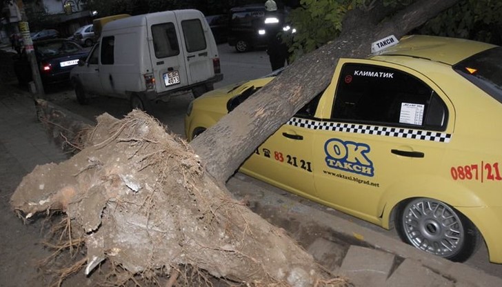 Купето на таксито е смазано, предното му стъкло е счупено